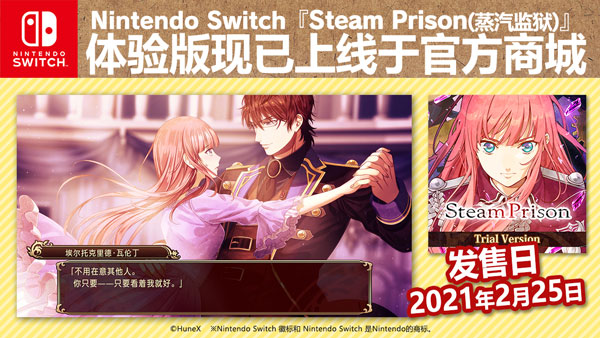 Nintendo Switch Steamprison